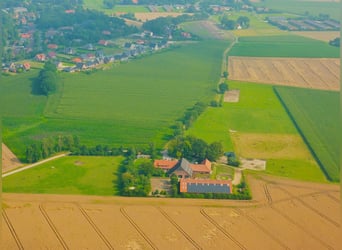  Freie Pferdeboxen auf dem Braaklander Hof bei Neerstedt! 