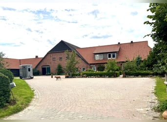  Freie Pferdeboxen auf dem Braaklander Hof bei Neerstedt! 