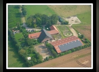  Freie Pferdeboxen auf dem Braaklander Hof bei Neerstedt! 