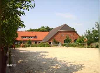  Freie Pferdeboxen auf dem Braaklander Hof bei Neerstedt! 