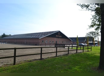 Te huur aangeboden een professionele paarden manege/complex/stallen