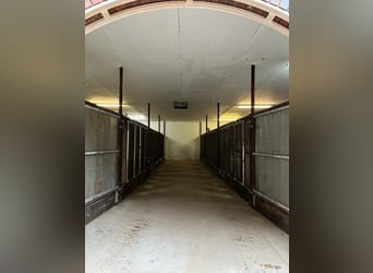 Aufzuchtplätze für Absetzer und Jährlinge