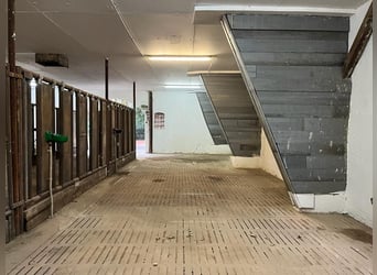 Aufzuchtplätze für Absetzer und Jährlinge