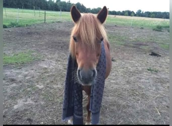 4 posti box disponibili