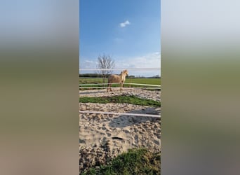 Posto per trail direttamente sul Mare del Nord
