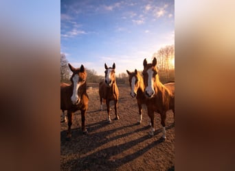 Box aperto con un piccolo ruscello