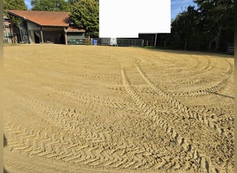 Box e paddock trail aperti a Niederkrüchten-Elmpt, 4 posti disponibili