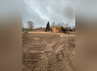 Offenstall / Box frei für Asthmatiker