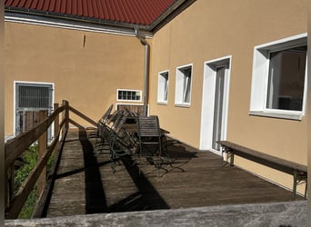 Offenstallplatz frei in 14532 für Stute und Wallach 