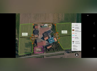Posti in paddock e box disponibili da estate 2027 in una scuderia privata a conduzione familiare