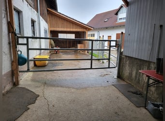 Posto box in autonomia