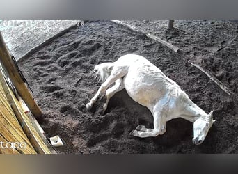 Posto di riabilitazione direttamente vicino al Mare del Nord