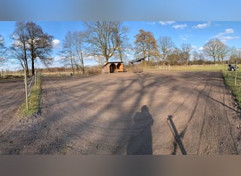 Posto in paddock aperto in scuderia privata