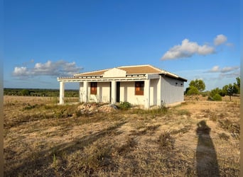 2 Traumgrundstücke ( insgesamt 137.000 qm) in Andalusien/ Almonte