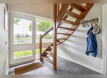 A beautiful location for horse happiness!