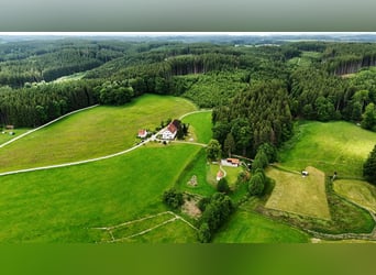 Acquisto di una casa colonica o di una fattoria in Allgäu, posizione isolata con circa 11 ettari di