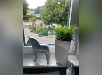 Affascinante proprietà equestre con una casa di 210 m² residenziali
