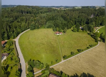 Affascinante proprietà nel Chiemgau - Villa, 7 ettari di terreno e stalla, con potenziale per gli ap