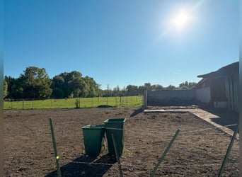 Allevamento di cavalli su circa 1,7 ettari di terreno di proprietà, a pochi chilometri da Monaco