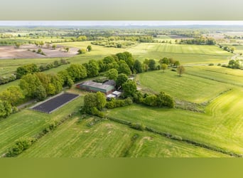 Amore per la campagna – vasta proprietà in posizione tranquilla e isolata, con circa 7,5 ettari di t