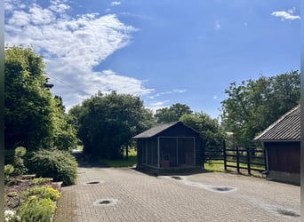 Ampio casale con maneggio, arena e un incantevole giardino all'inglese in posizione isolata