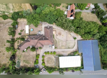 Ampio complesso equestre con una residenza di eccezionale livello, cinque unità abitative, maneggio 