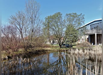 Architektenluxuswohnung auf Reitanlage - Boxen/ Einstellplätze auf Wunsch und nach Erfordernis