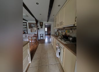 Azienda agricola con scuderia, centro equestre, casa di campagna / Casa di campagna con stalla