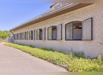 Azienda equestre in NRW vicino a Münster in vendita – Casa di campagna moderna, maneggio coperto, ca