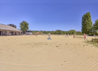 Azienda equestre in NRW vicino a Münster in vendita – Casa di campagna moderna, maneggio coperto, ca