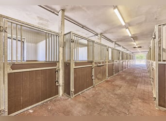 Azienda equestre in NRW vicino a Münster in vendita – Casa di campagna moderna, maneggio coperto, ca