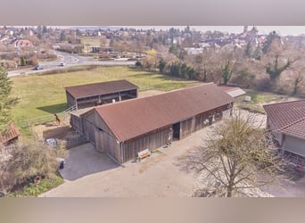 Azienda equestre in vendita nel distretto di Kitzingen con una moderna abitazione del 2019 e capacit