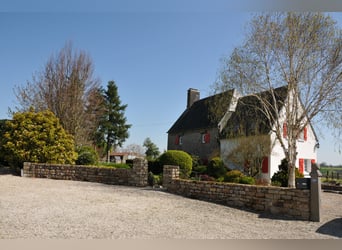 Azienda equestre privata di alta qualità