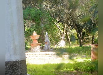 Bellissima finca immersa in una natura meravigliosa