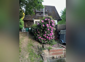Casa con stalla, round pen e campo da salto in posizione tranquilla ai margini del paese