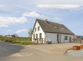 Casa indipendente con ampio soggiorno e una struttura equestre di alta qualità, completamente attrez