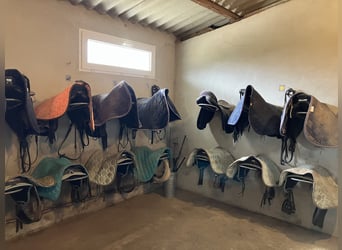 Centro equestre chiavi in mano!