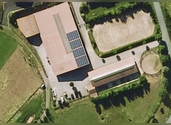 Centro equestre nel cuore della Germania