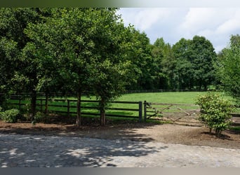 Centro equestre professionale nel NRW