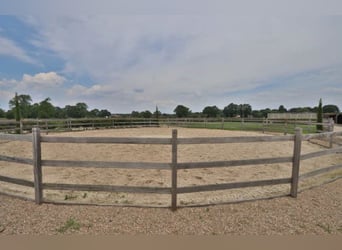 Centro equestre professionale nel NRW