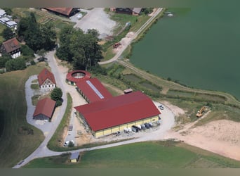 Centro equestre sul lago