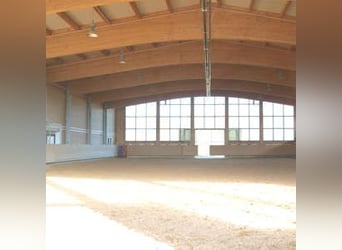 Centro equestre sul lago