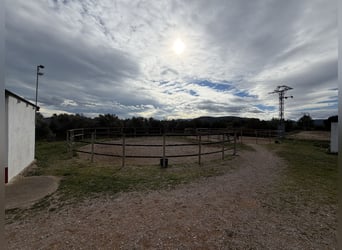 Centro ippico a Castellón Nord