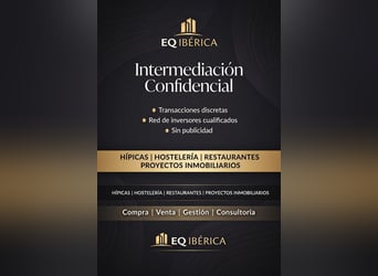 Centro ippico a Castellón Sud