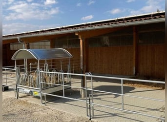  Charmante Reitanlage zwischen Stuttgart und dem Bodensee