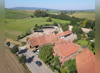 Charmantes Bauernhaus mit artengerechter Pferdehaltung und vielen weiteren Möglichkeiten