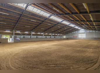 COMPACT EQUESTRIAN COMPLEX