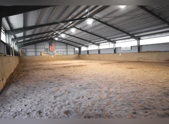 Equestrian Estate with Indoor Arena, 18 Horse Boxes, and Guest Cottages –