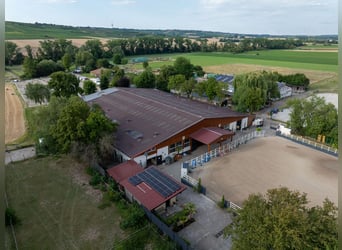 Esclusivo centro equestre con abitazione recentemente ristrutturata, maneggio coperto e ampi pascoli