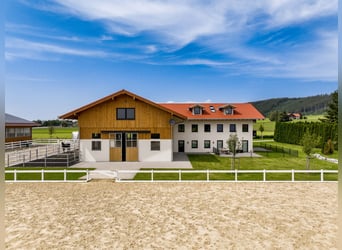 Exklusive Reitanlage mit Mehrfamilienhaus (4 WE) im Allgäu